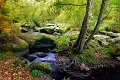paysage 07_10_11n02
